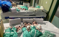 加沙燃料耗盡最大醫院5早產嬰7重症患者不治  譚德塞痛斥醫院變死亡現場