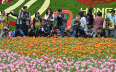 【武汉肺炎】康文署宣布 3月维园香港花展取消