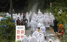 【非洲猪瘟】南韩非军事区边界野猪确诊病毒 个案增至13宗