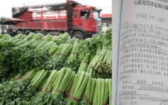 福州老農賣菜獲利14元　因含有農藥殘留被罰10萬人民幣