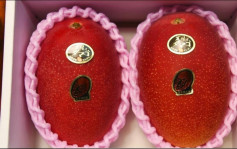 日本頂級芒果「太陽蛋」兩個3.5萬創紀錄