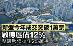 新盤今年成交突破1萬宗 啟德區佔12% 整體呎價穩企2.3萬