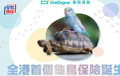 OneDegree推全港首个龟鸟保险 1岁至10岁可投保每年2988元