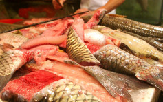 九龙城街市一鲩鱼样本验出孔雀石绿 食安中心令停售