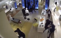 美國芝加哥LV專賣店洗劫影片曝光 多名黑衣匪徒拿垃圾袋搶劫