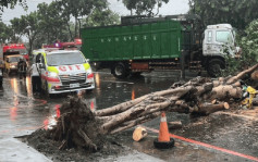 颱風格美｜吹襲台灣最少釀1死58傷   宜蘭苗栗等地逾1.1萬戶停電