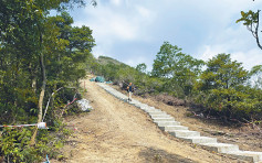 大上托山径建石屎梯 被轰铲植被过阔