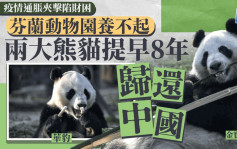 芬蘭動物園財困提早8年歸還兩大熊貓   合唱團曾唱《但願人長久》解鄉愁