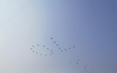 【十一國慶】空中護旗梯隊 20直升機組「70」字樣