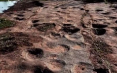 全球首例 山東發現群體小型恐龍足跡