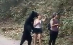 女子行山遇黑熊被抱 淡定拿出手机和熊自拍