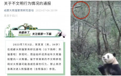 游客用手机自拍杆逗熊猫  终身禁入成都熊猫基地