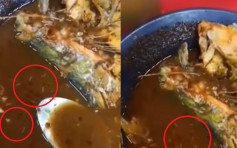 大马餐厅招牌菜蛆虫汤中游 被勒令停业两周