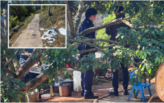 荃锦公路果园遭人刑毁 场主称没与人结怨