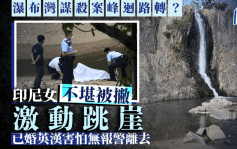 瀑布灣公園謀殺案｜消息：印尼女被撇激動跳崖　疑犯驚懼獨自離去