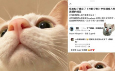【維港會】Facebook封鎖違規帖文 貓相片被指「成人性誘惑」遭刪除