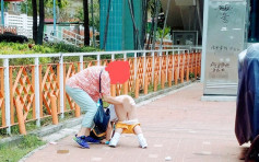 【維港會】小學生行人路除褲大便 家長被轟教壞細路