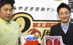 日本「太陽之子」芒果2.9萬成交