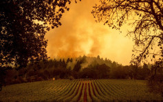 加州葡萄酒乡山火扩大 近7万人疏散