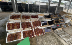 海關香港仔魚市場破快艇走私案 檢獲1100萬元龍蝦花膠等