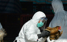 湖南40岁女子染H5N6禽流感 衞生防护中心密切监察