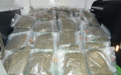 海关机场检约60公斤大麻市值1700万 拘22岁本地男