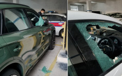 今年2月大埔停車場竊案 警再拘一男 疑用氣槍打爆車窗犯案