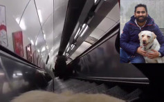 几秒都等唔到？无理乘客搭扶手电梯要导盲犬让路
