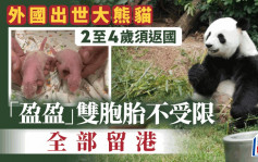 港产大熊猫｜外国出世大熊猫2至4岁须返国  盈盈双胞胎全部留港