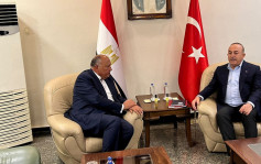 埃及土耳其同意恢復大使級外交關係
