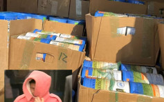 悉尼警方拘控一名华裔女子 涉偷4000罐婴儿奶粉