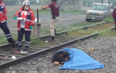 男主人飲醉酒被火車撞死 忠犬在旁伴屍拒離開