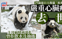 29歲旅日大熊貓「爽爽」嚴重心臟病去世  將製成標本運回國