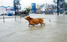 热带气旋袭印度 逾200万人疏散
