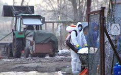 波蘭南部爆禽流感　港禁該區禽產品入口