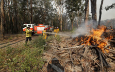 澳洲燒毀山林如53個香港 雪梨籲居民免用洗衣機