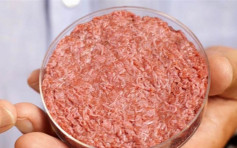 实验室培植人造肉 料2年内普及化每块78港元	