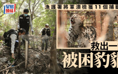 渔护署将军澳检获11个捕兽笼 救出一只被困豹猫