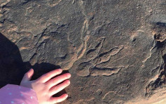 4歲女童威爾斯沙灘發現恐龍足印  科學家：2.2億年歷史化石