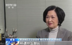 闻「所谓部长」自称台湾国家感离谱光火 叶刘淑仪：就是个「叛乱的省」