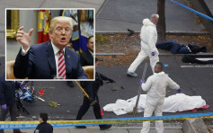 特朗普譴責紐約恐襲事件 下令加強入境審查