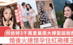 何依婷3千万爱巢摆大棵圣诞树应节 婚后火速怀孕住红磡楼王 老公传是富二代做物流业