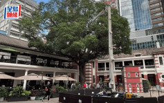 中环大馆高台车升降台故障 工人修树被困15米高「半天吊」