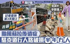 社區的事｜颱風蘇拉吹襲後遺症 塌樹損路磚逾半年未修 記者查詢第3天即動工
