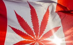 加拿大娛樂用大麻合法化 最快9月生效