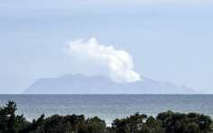 紐西蘭懷特島火山或再爆發 救援工作暫緩