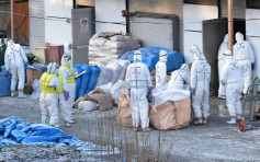 日本香川縣爆H5禽流感 港停止進口禽類產品