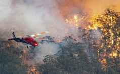 澳洲山火毀沿岸逾200屋 當局罕見出動軍艦救援