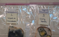 面包实验教小学生勤洗手 没洗手触摸面包细菌量惊人