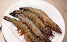 印度进口虎虾含禁用兽药 食安下令停售